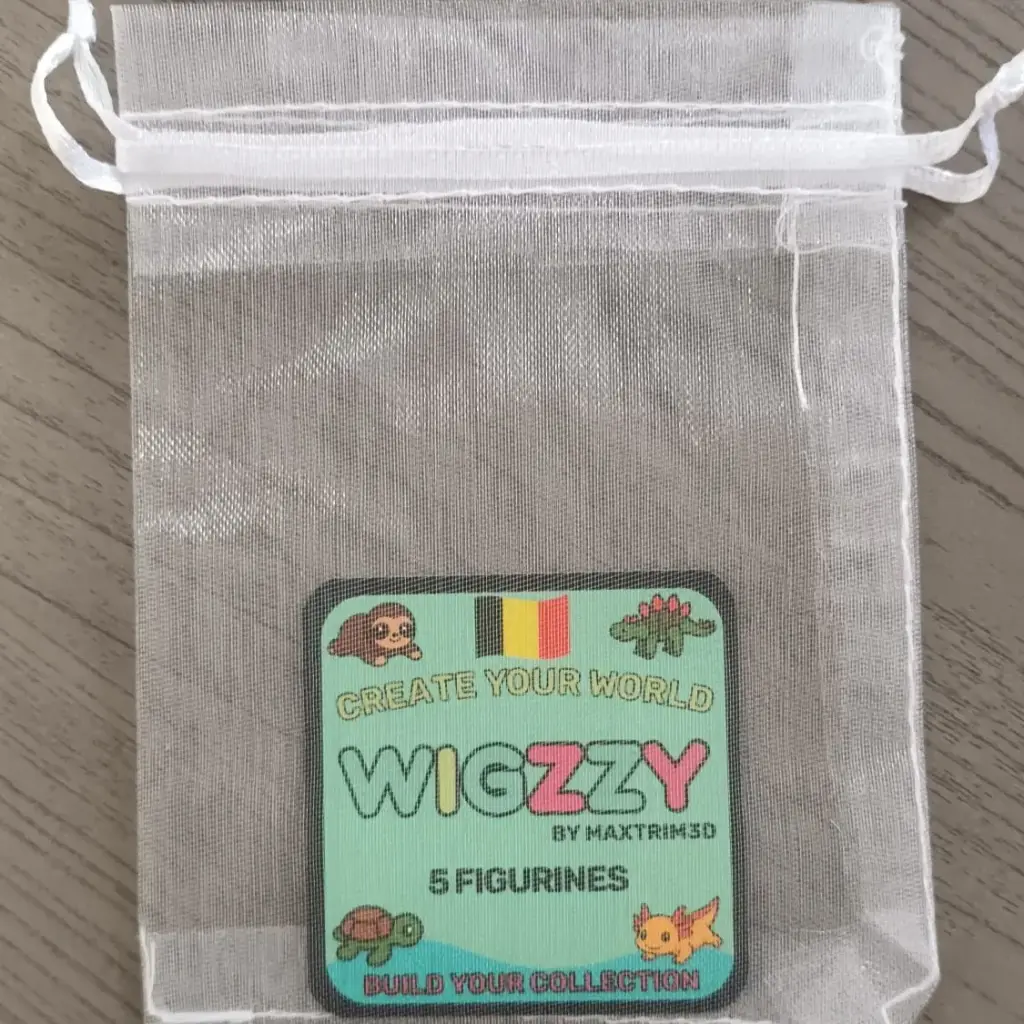Pochette à Wigzzy