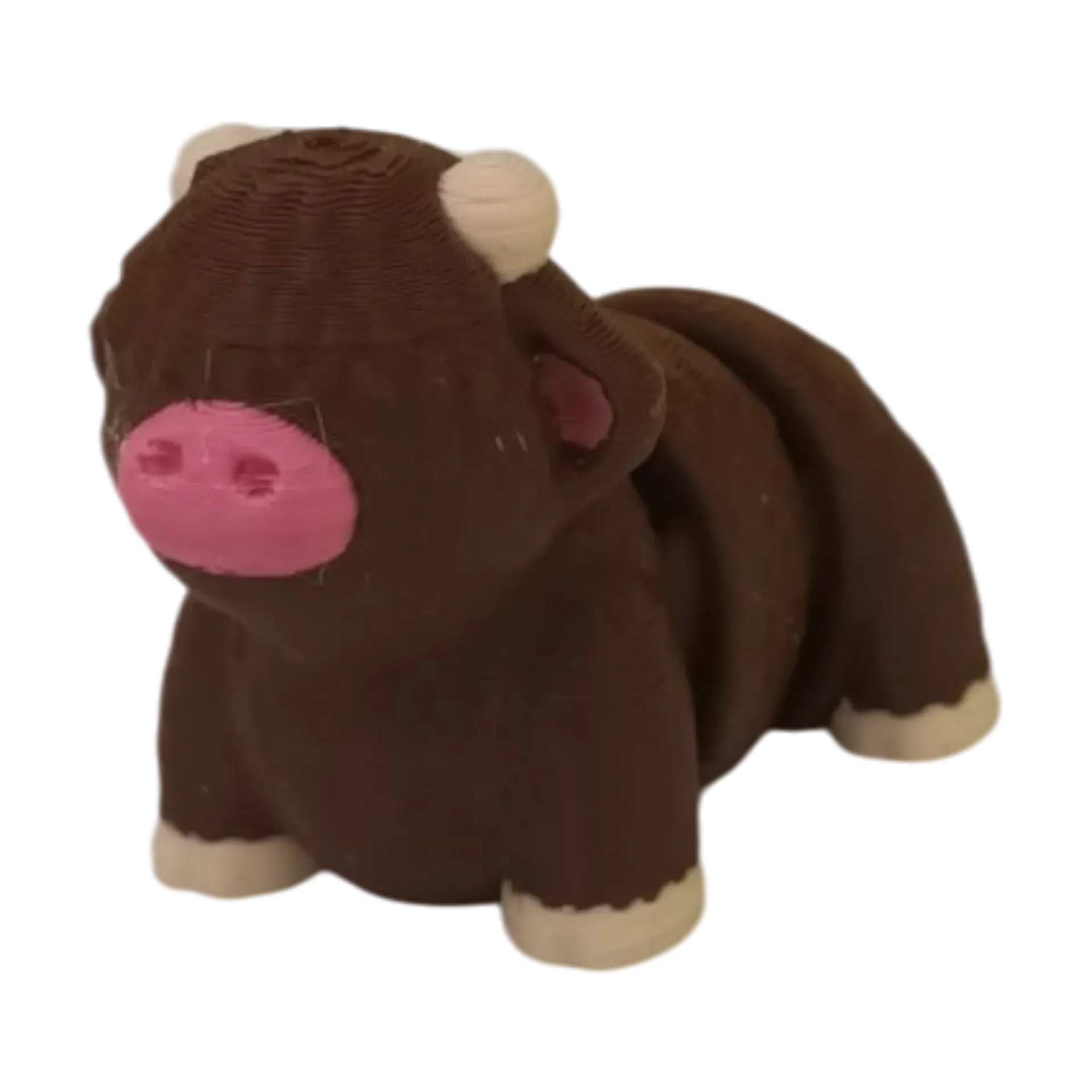 Vache Highland